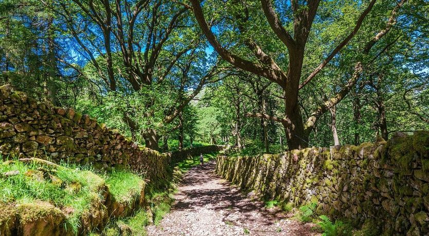 Photo of Scafell Cottage