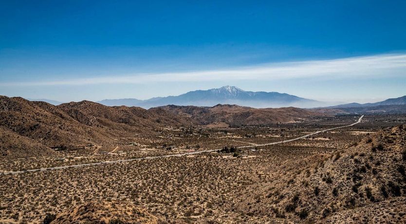 Photo of Chase The Muse