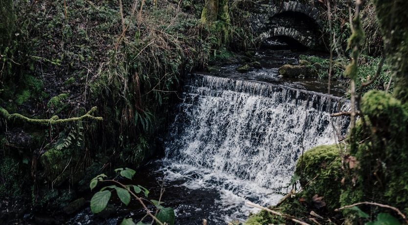 Photo of Tyas Cottage