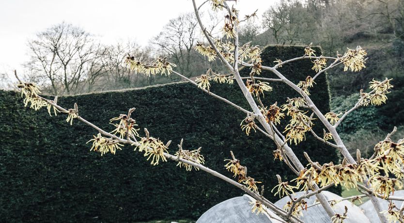 Photo of Tyas Cottage