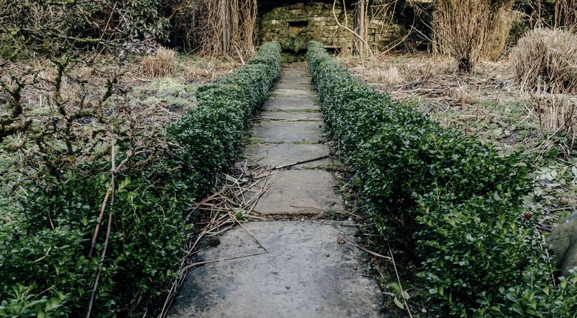 Photo of Tyas Cottage