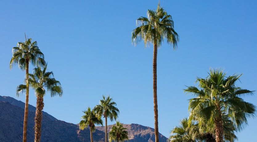 Photo of Sounds Like Summer