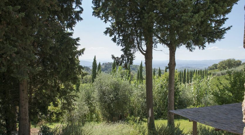 Photo of First Of The Summer Wine