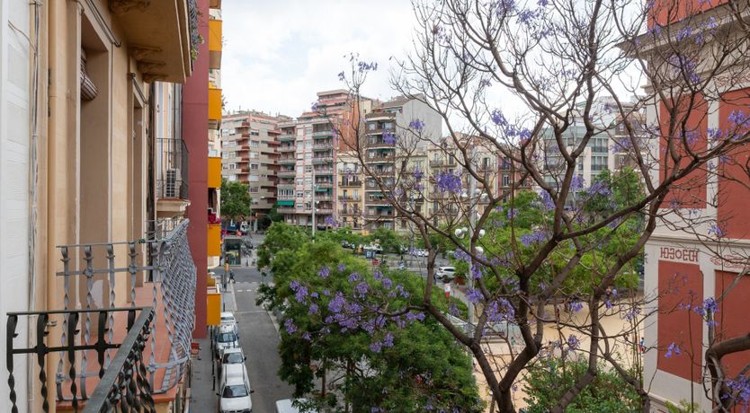 Photo of Trojan Horse