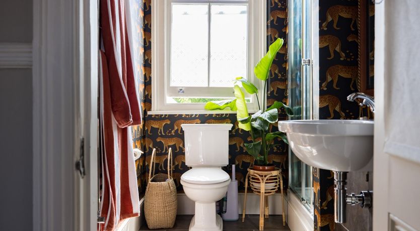 Photo of The Pink Floyd