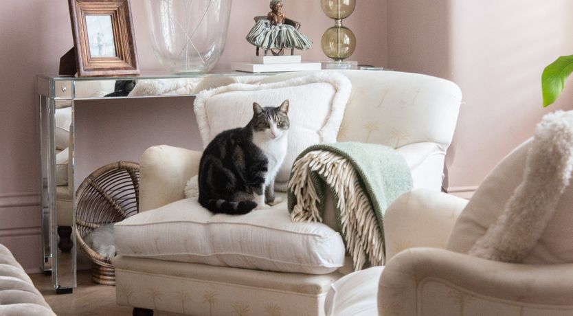 Photo of The Pink Floyd