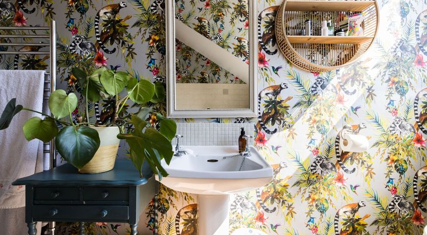 Photo of The Pink Floyd