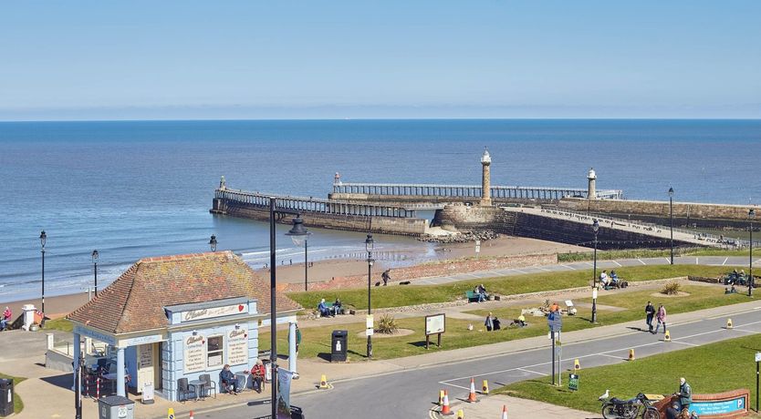 Photo of The Seashell