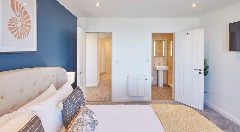 Photo of The Seashell