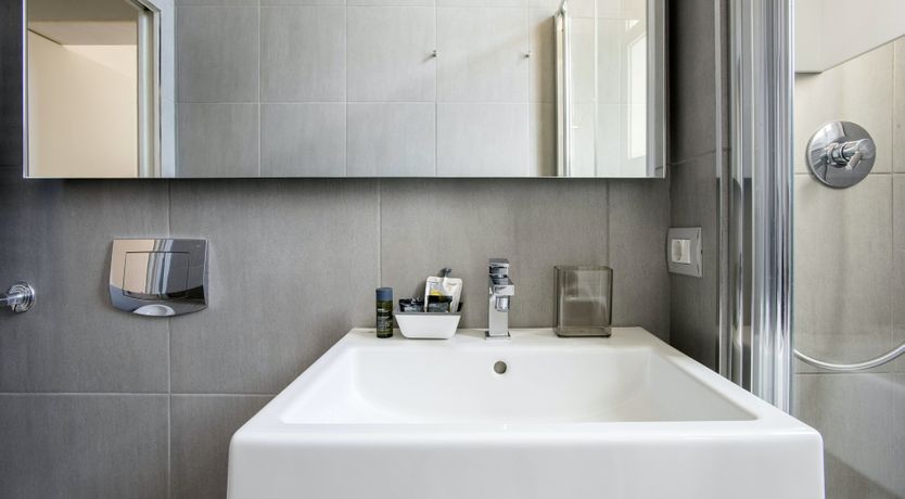 Photo of The Silver Dove