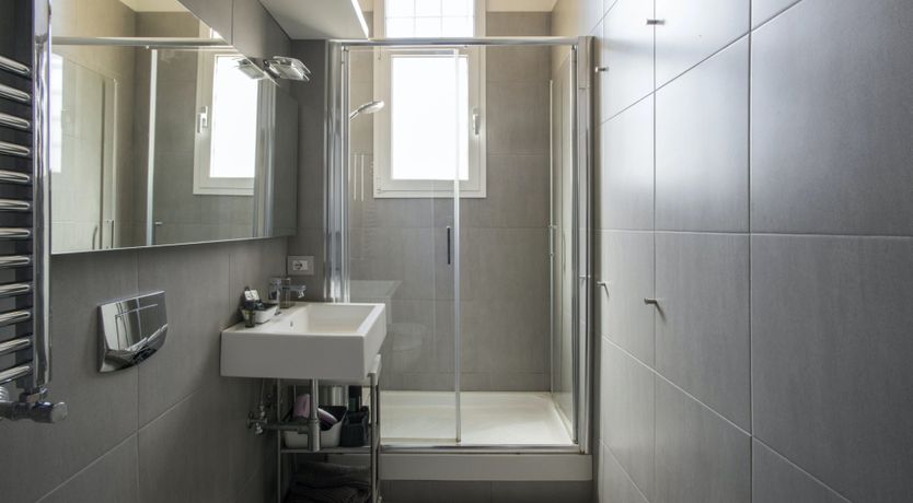 Photo of The Silver Dove