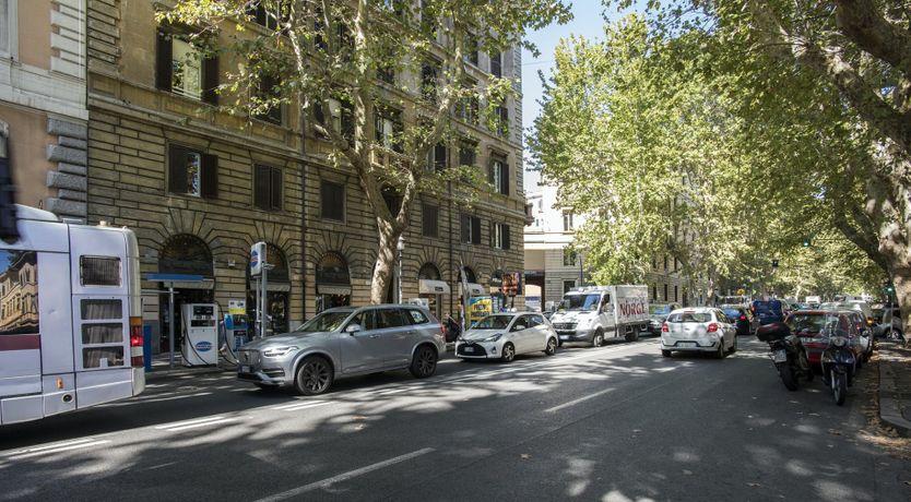 Photo of The Silver Dove