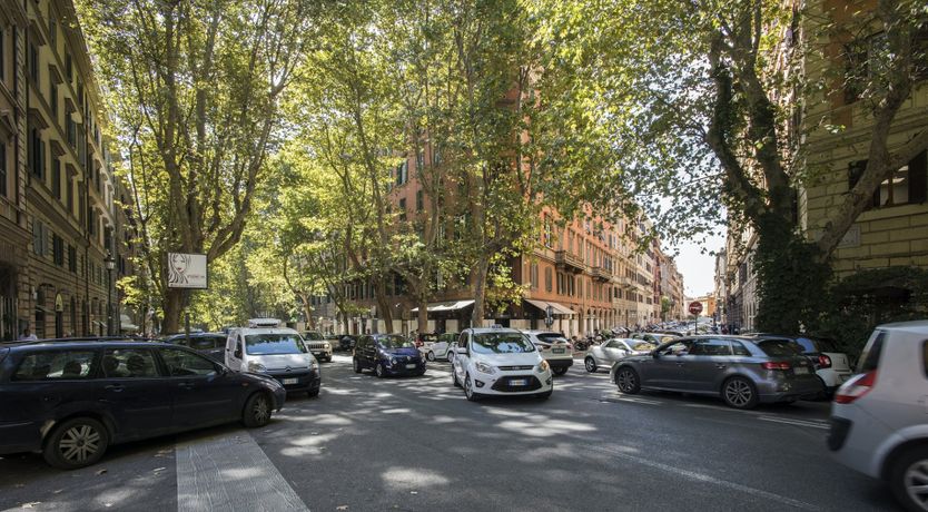 Photo of The Silver Dove