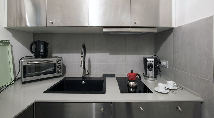 Photo of The Silver Dove