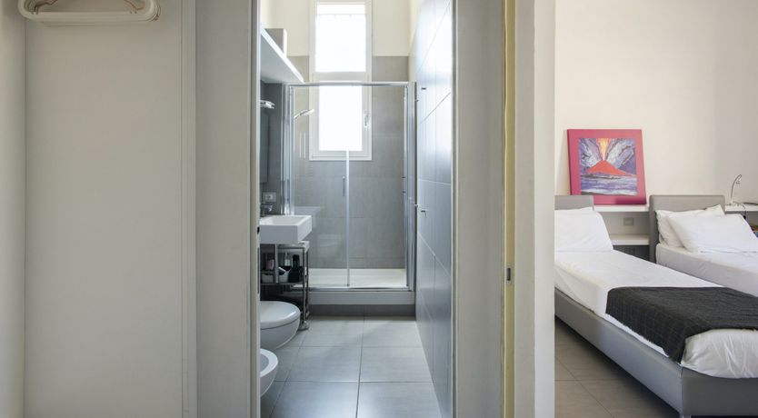 Photo of The Silver Dove