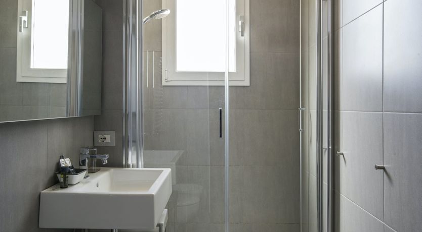 Photo of The Silver Dove