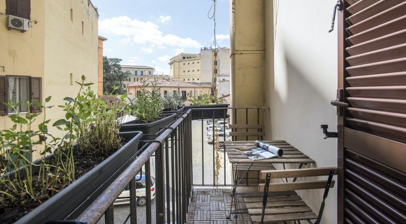 Photo of The Silver Dove