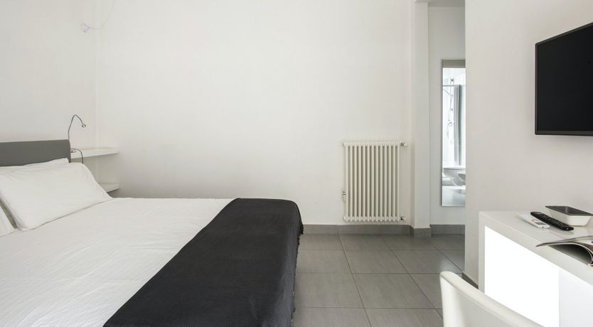 Photo of The Silver Dove