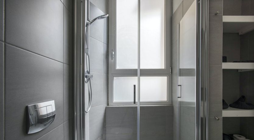 Photo of The Silver Dove