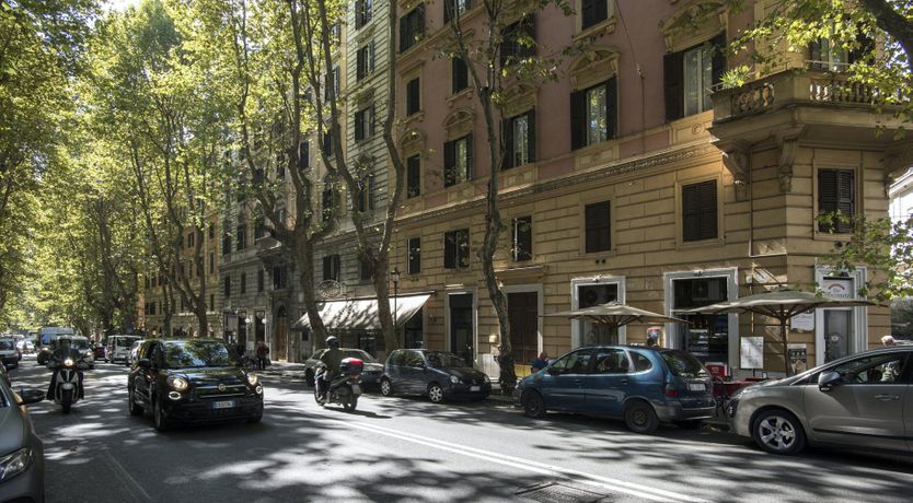 Photo of The Silver Dove