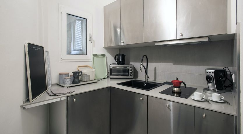 Photo of The Silver Dove