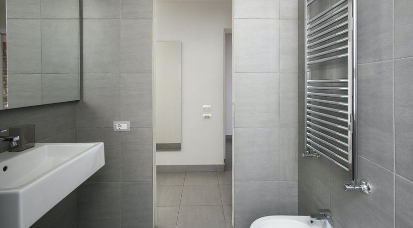 Photo of The Silver Dove