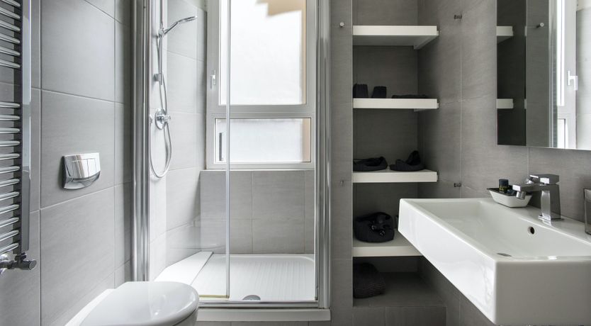 Photo of The Silver Dove