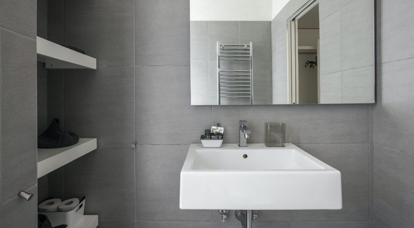 Photo of The Silver Dove