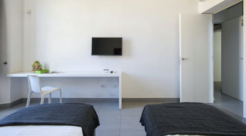 Photo of The Silver Dove