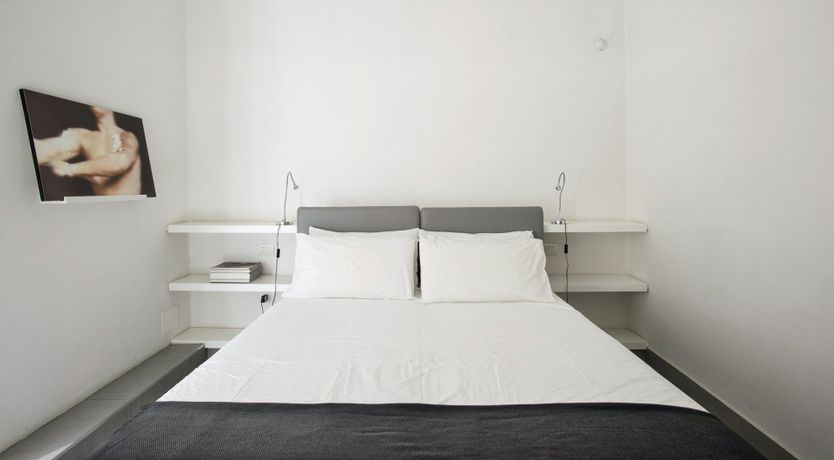 Photo of The Silver Dove