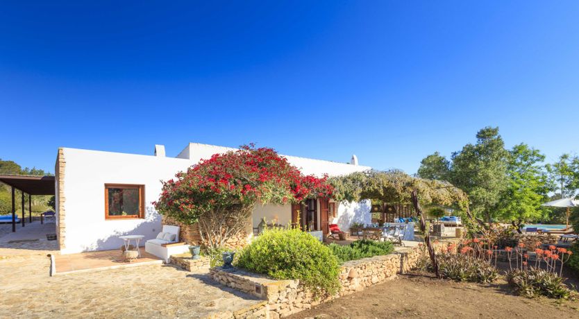 Photo of Forever Summer