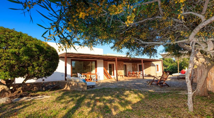 Photo of Forever Summer