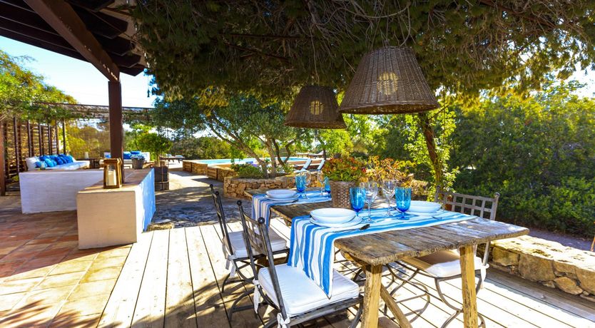 Photo of Forever Summer