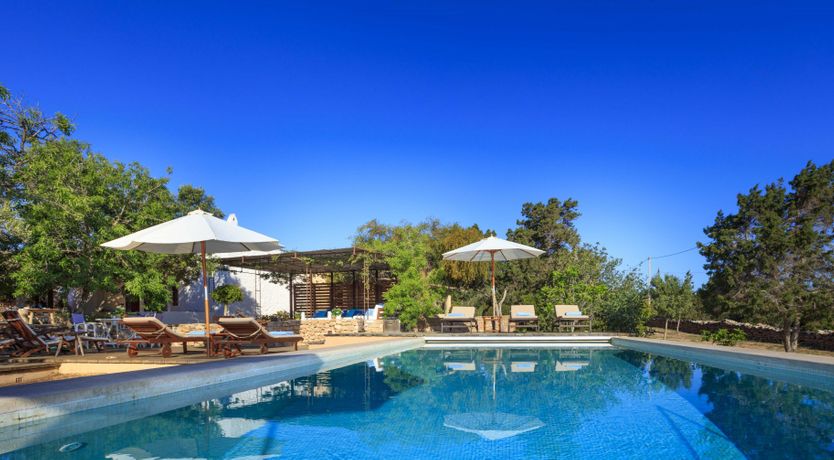 Photo of Forever Summer