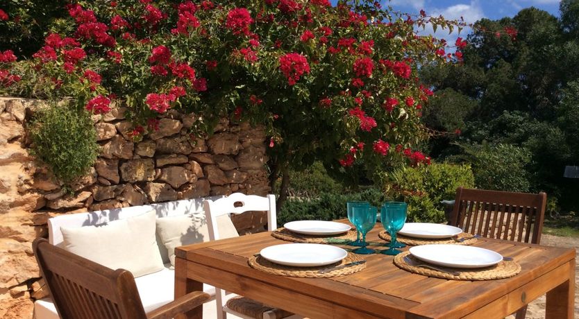 Photo of Forever Summer