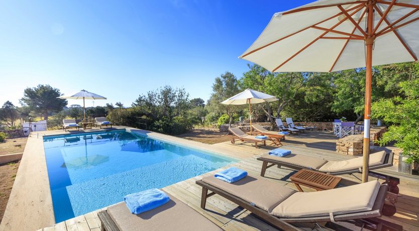 Photo of Forever Summer