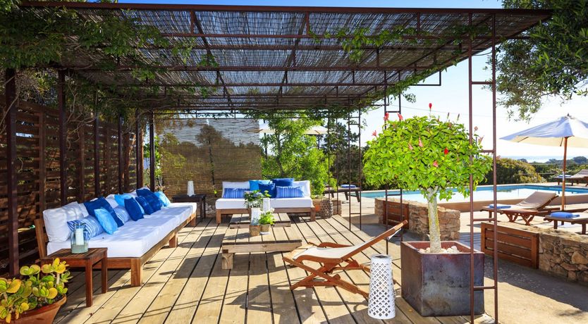 Photo of Forever Summer