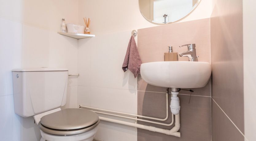 Photo of White Cocoon