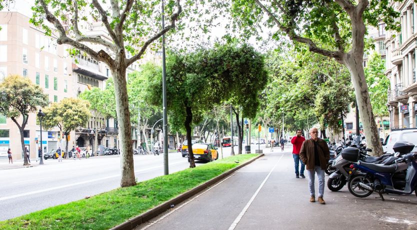 Photo of The Eureka Moment