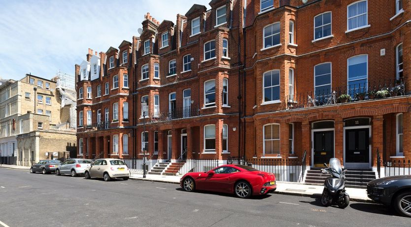 Photo of The Daffodil