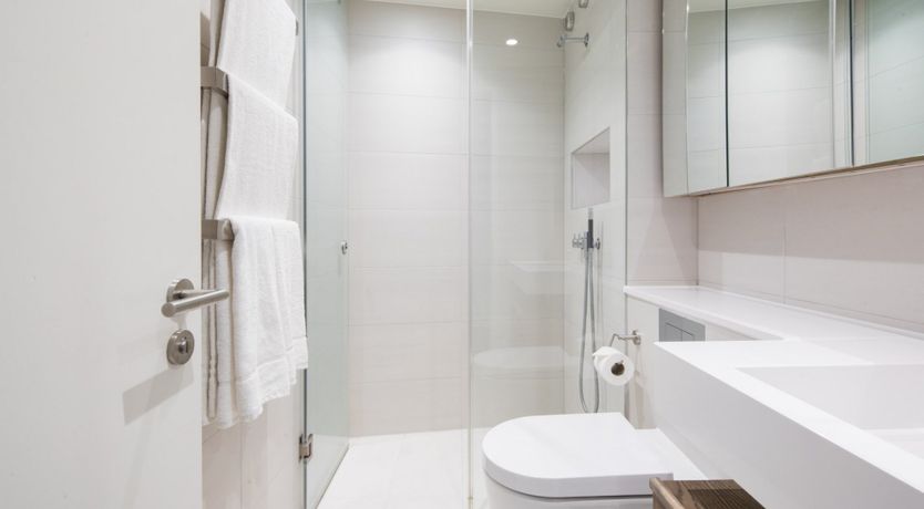 Photo of Obsidian Shine