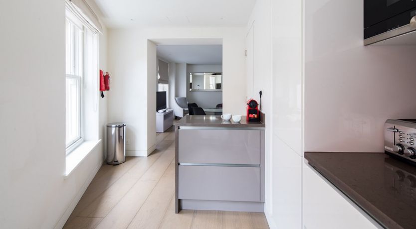 Photo of Obsidian Shine