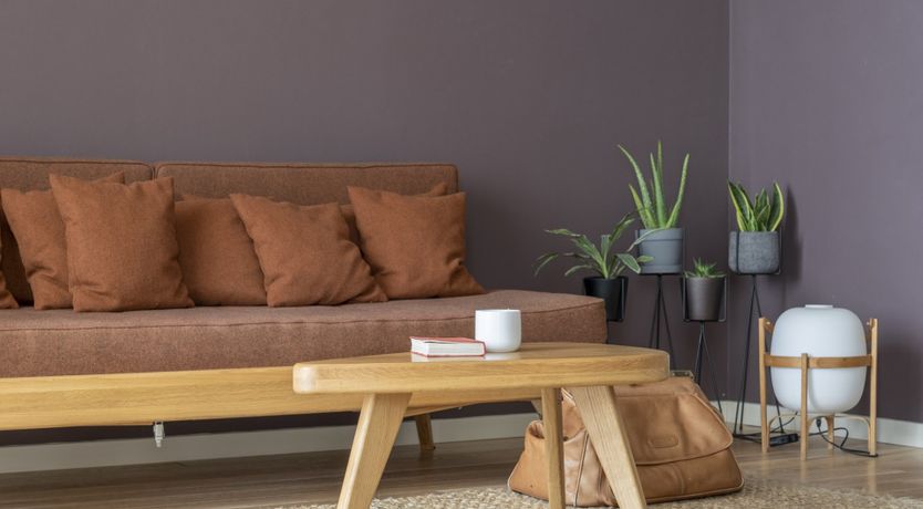 Photo of Burnt Umber