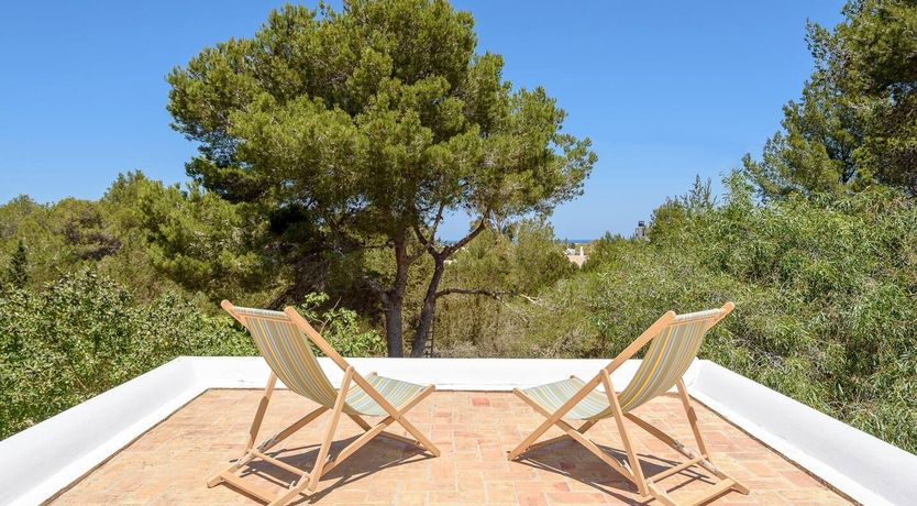 Photo of Driftwood Dreams