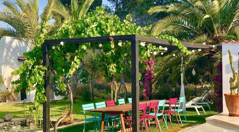 Photo of Driftwood Dreams