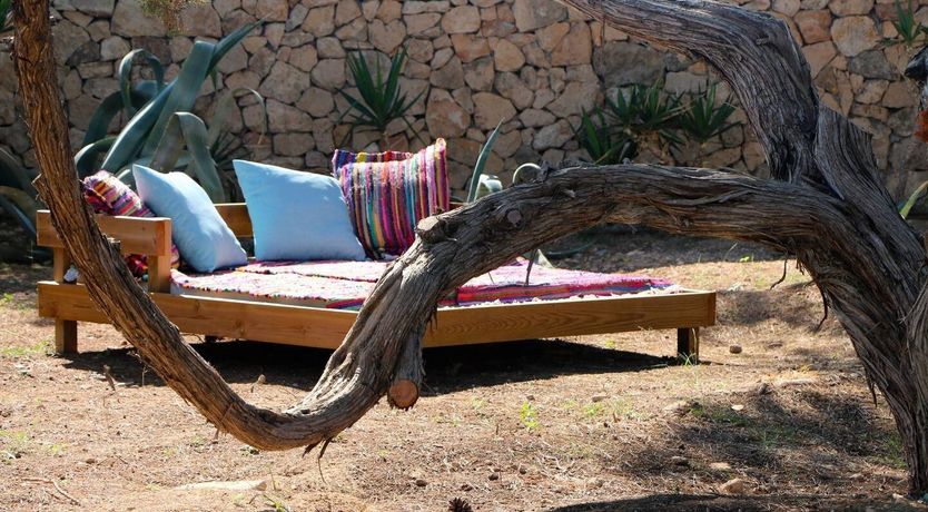 Photo of Driftwood Dreams