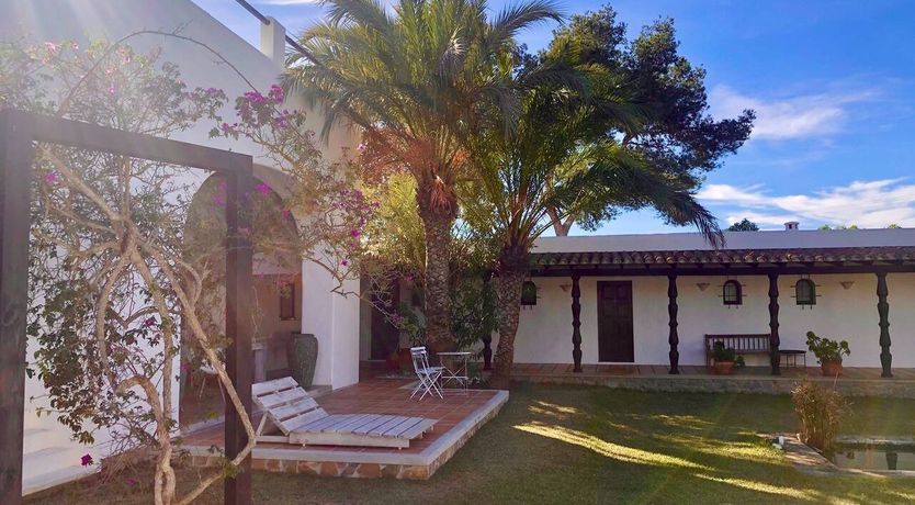 Photo of Driftwood Dreams