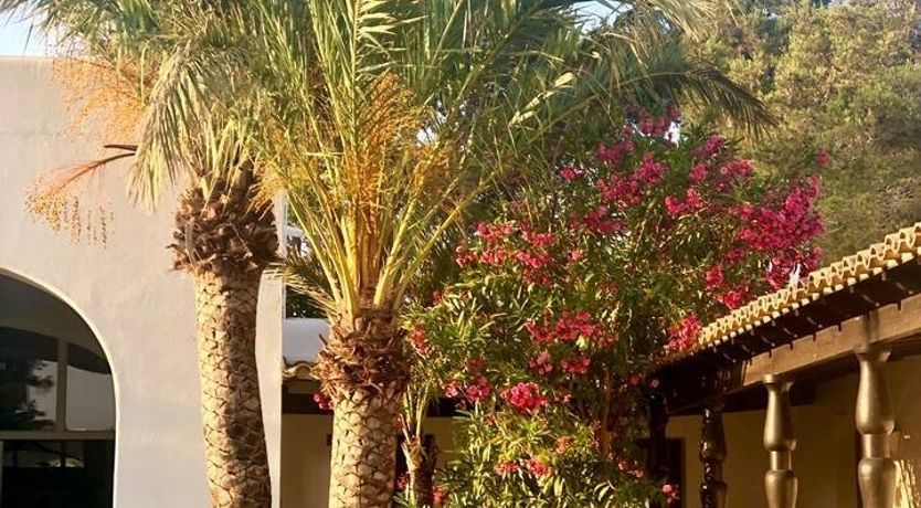 Photo of Driftwood Dreams