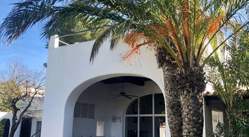 Photo of Driftwood Dreams