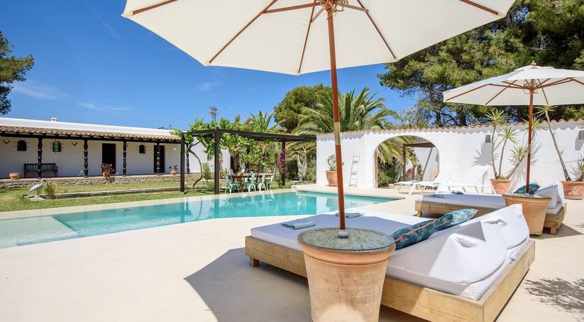 Photo of Driftwood Dreams